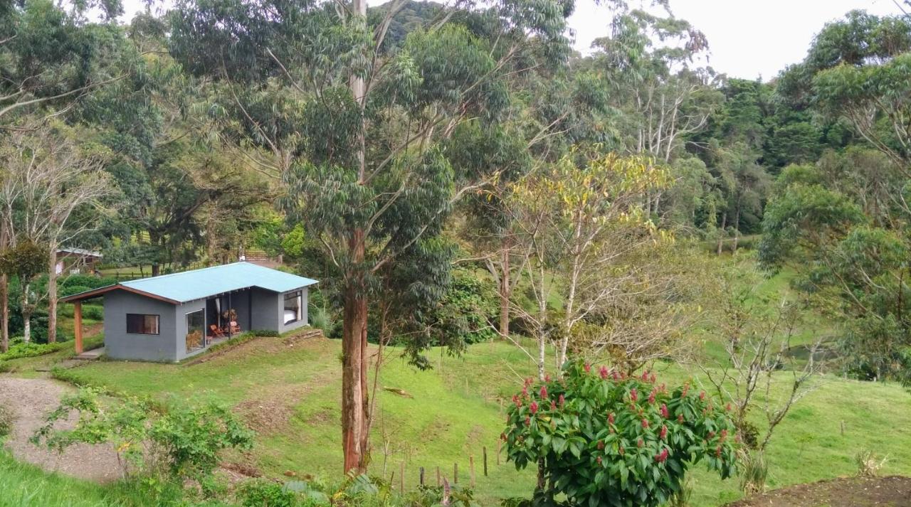 Olingo Monteverde Luaran gambar