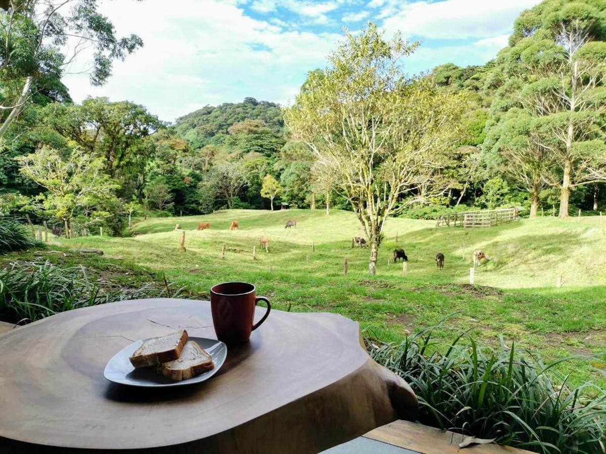 Olingo Monteverde Luaran gambar