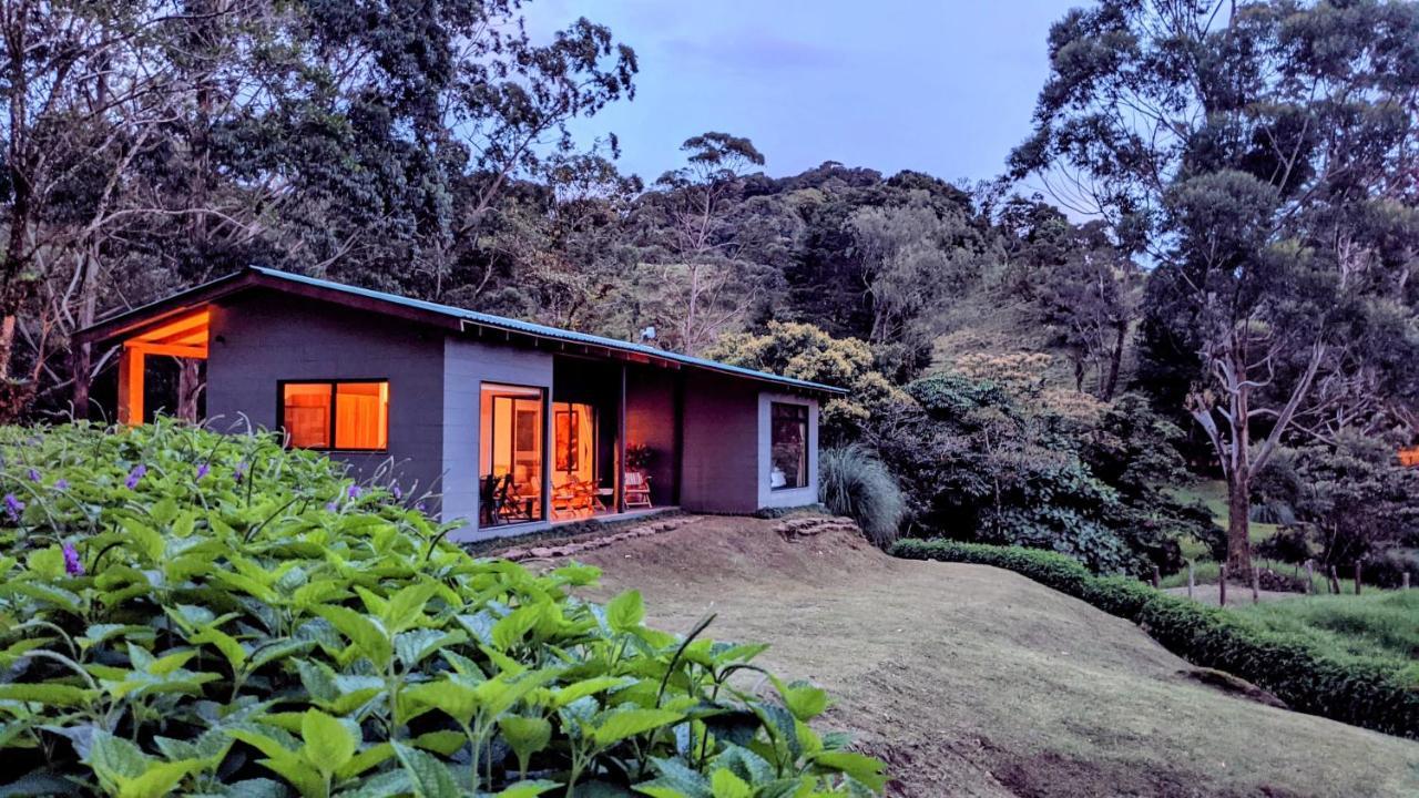 Olingo Monteverde Luaran gambar